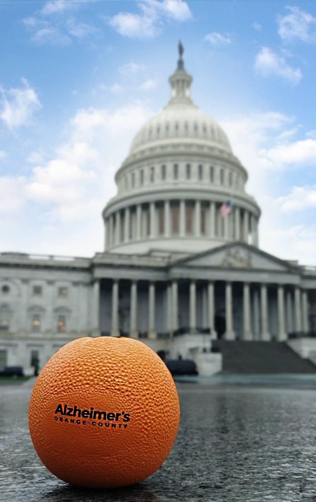 AlzOC Advocacy