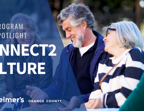 Program Spotlight: Connect2Culture
